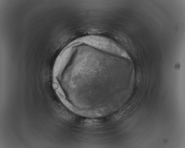 X0000096980367200803071035