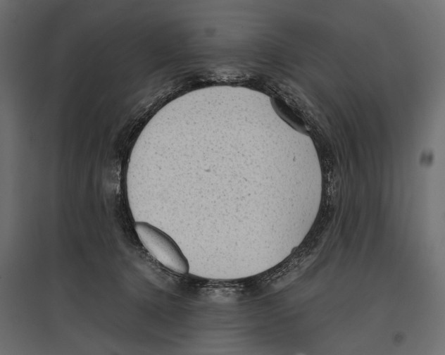 X0000096980368200803071035