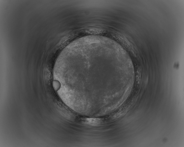 X0000096980371200803071035