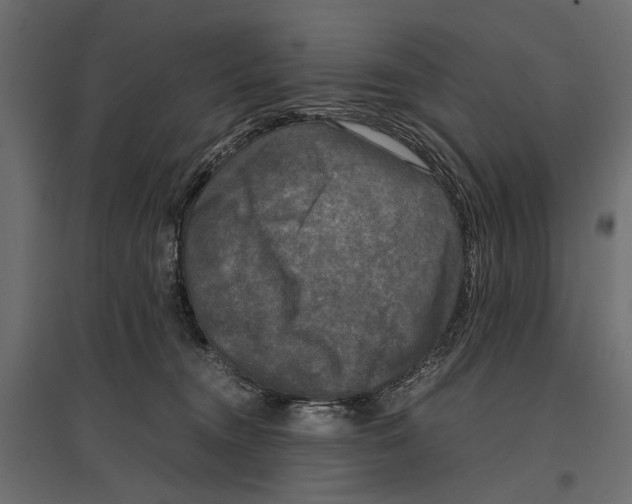 X0000096980372200803071035