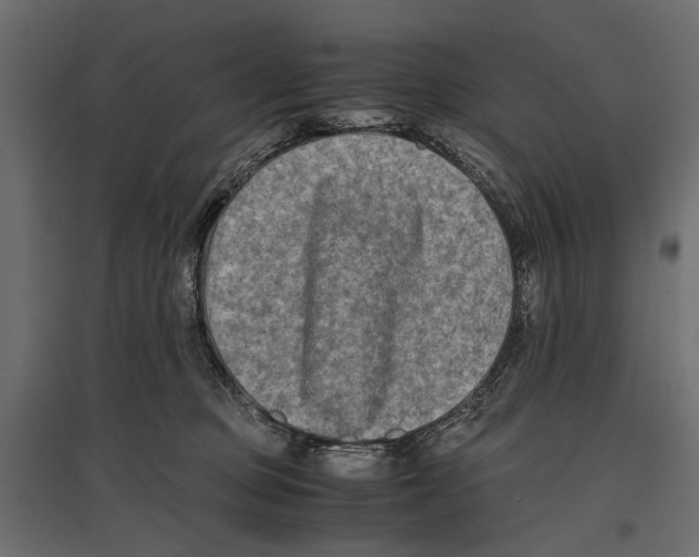 X0000096980373200803071035