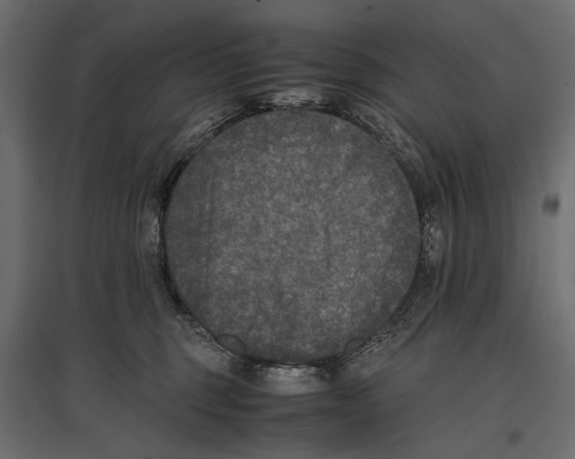 X0000096980375200803071035