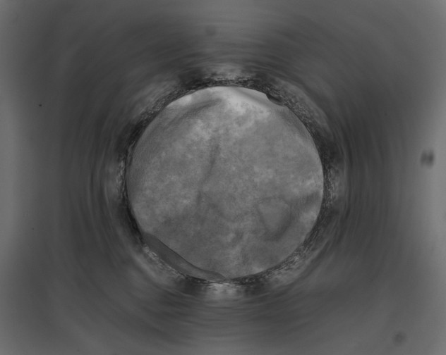 X0000096980376200803071035