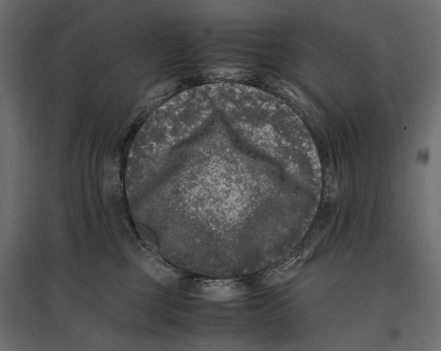 X0000096980377200803071035