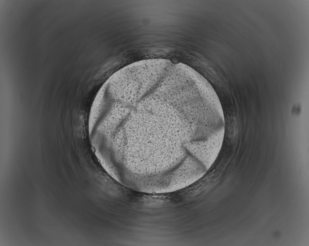 X0000096980378200803071035