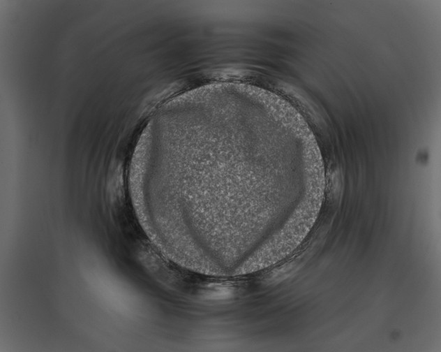 X0000096980381200803071036