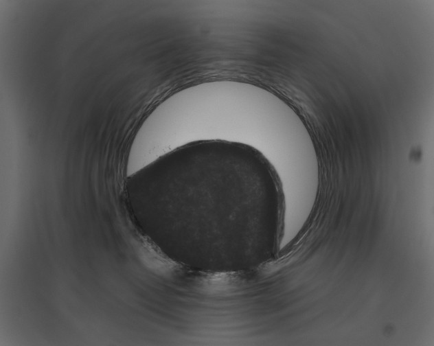 X0000096980382200803071036