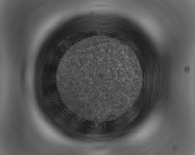 X0000096980383200803071036