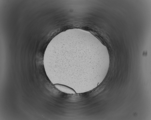 X0000096980384200803071036