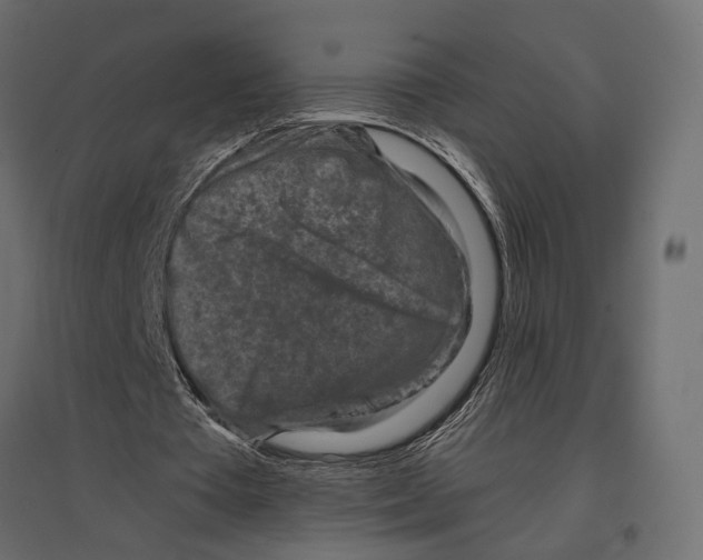 X0000096980385200803071035