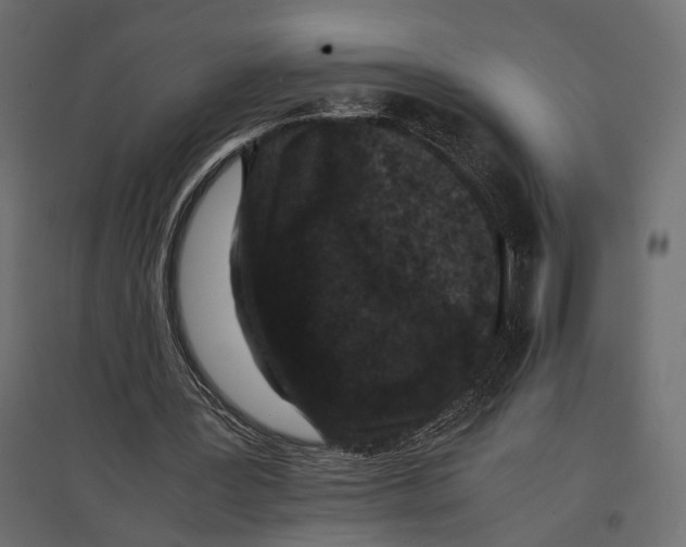 X0000096980387200803071035