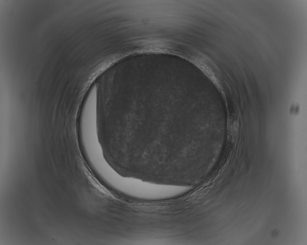 X0000096980389200803071035