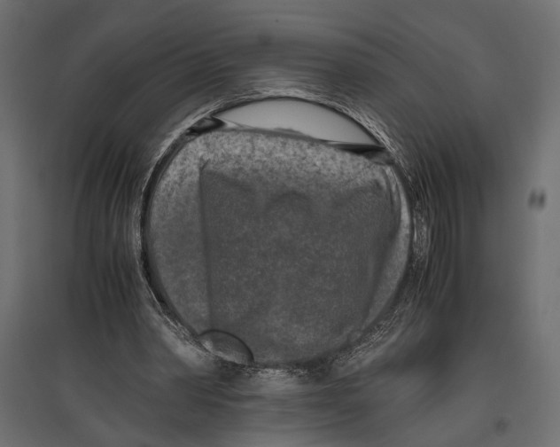 X0000096980390200803071035