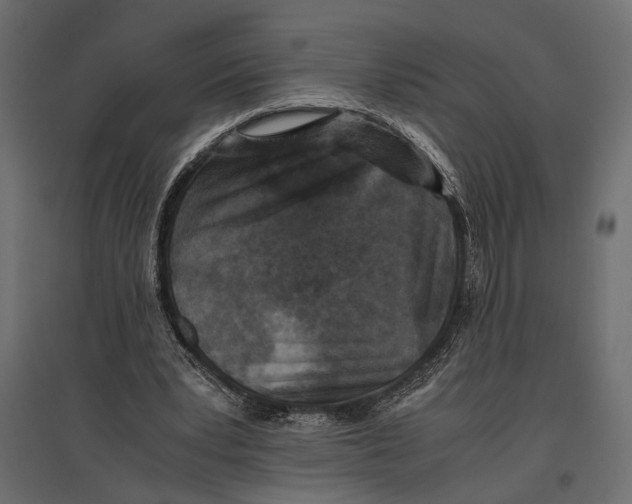 X0000096980391200803071035