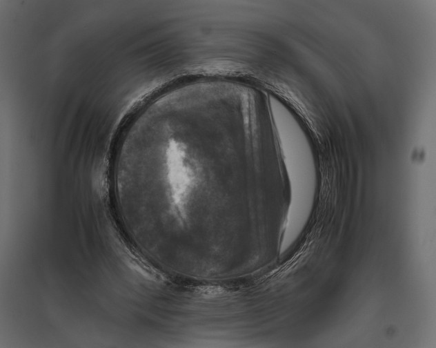 X0000096980392200803071035