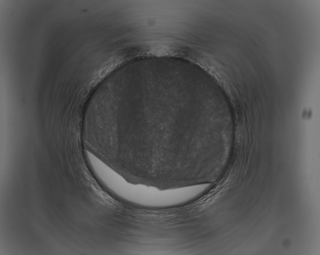 X0000096980393200803071035