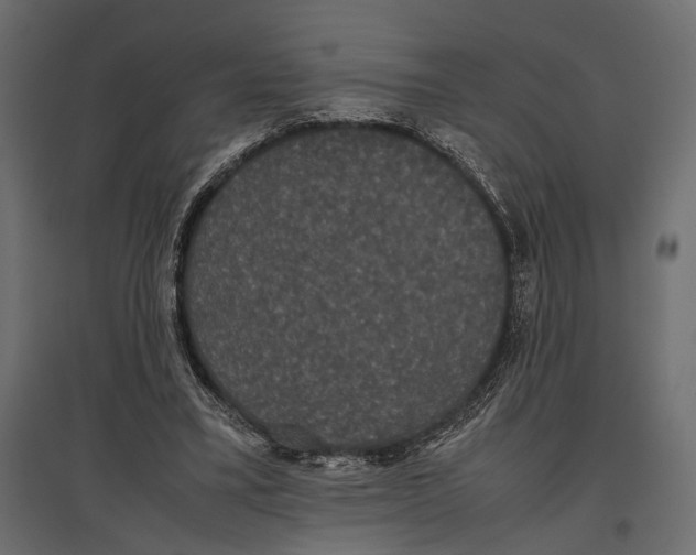 X0000096980395200803071035