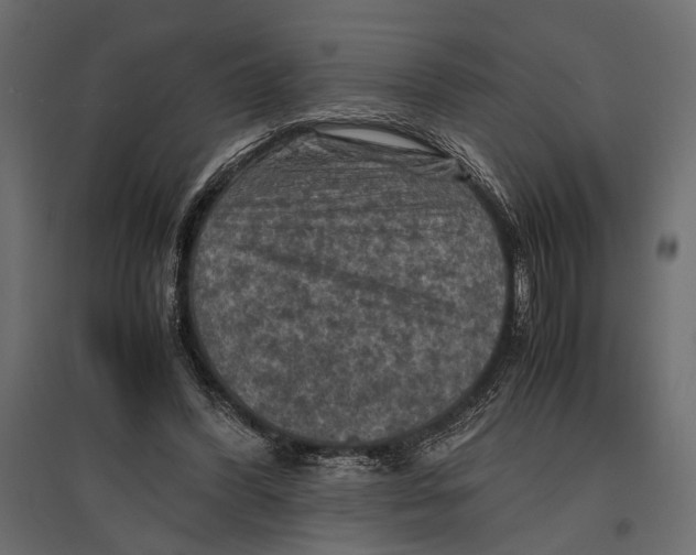 X0000096980396200803071034