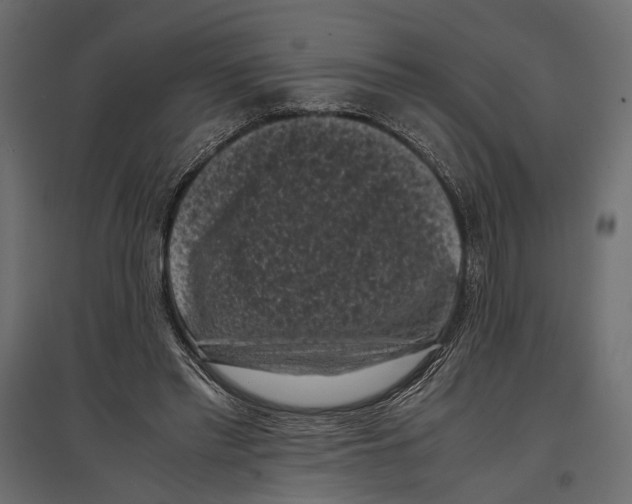 X0000096980397200803071034