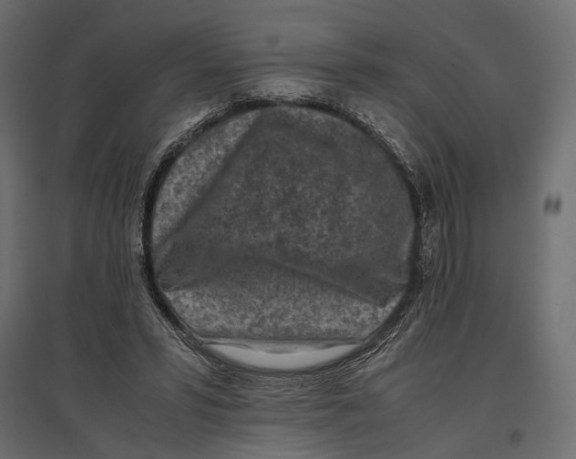 X0000096980399200803071034