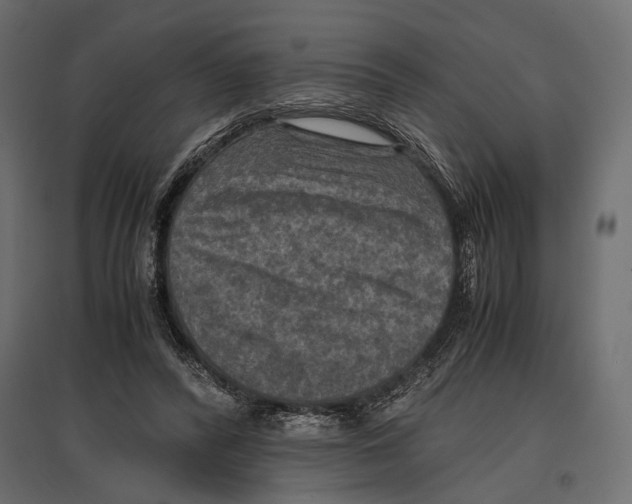 X0000096980400200803071034