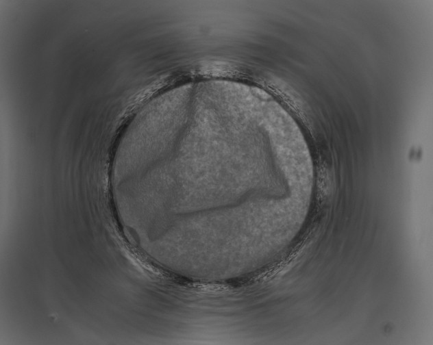 X0000096980401200803071034