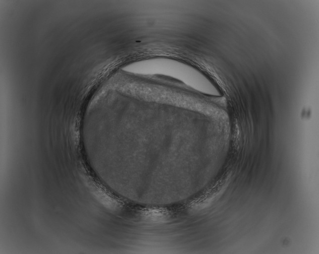 X0000096980402200803071034