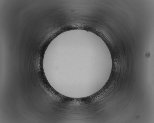 X0000096980404200803071034