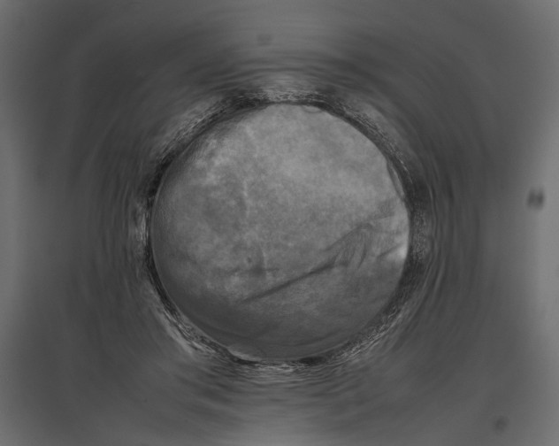 X0000096980405200803071034