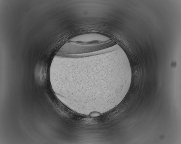 X0000096980406200803071034