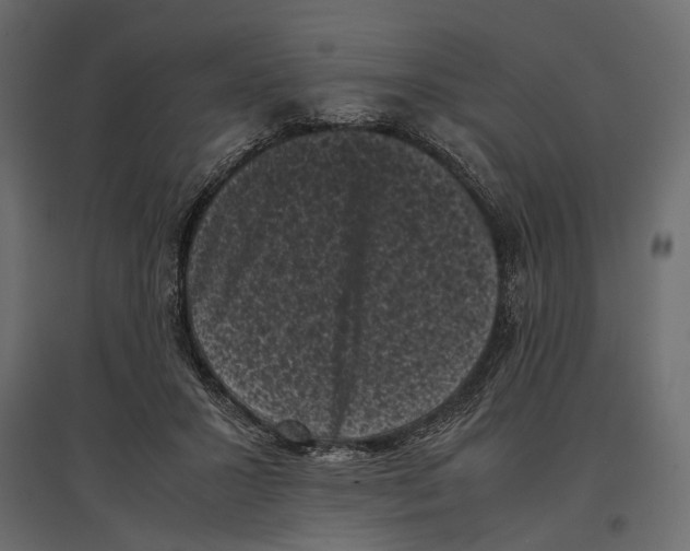 X0000096980407200803071034