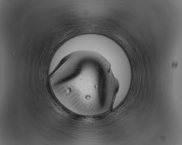 X0000096980409200803071034