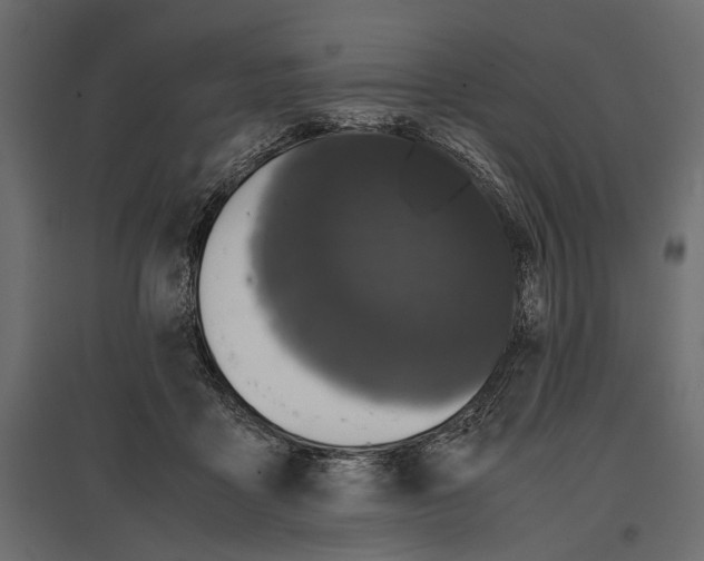 X0000096980411200803071034