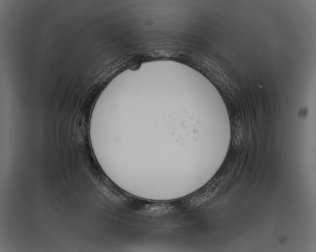 X0000096980414200803071034