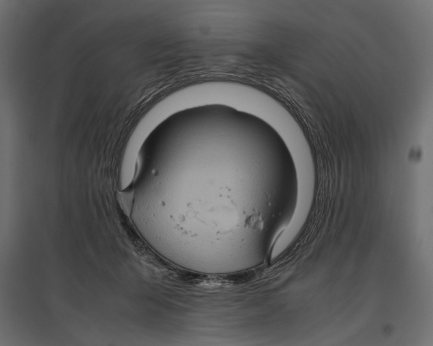 X0000096980415200803071034