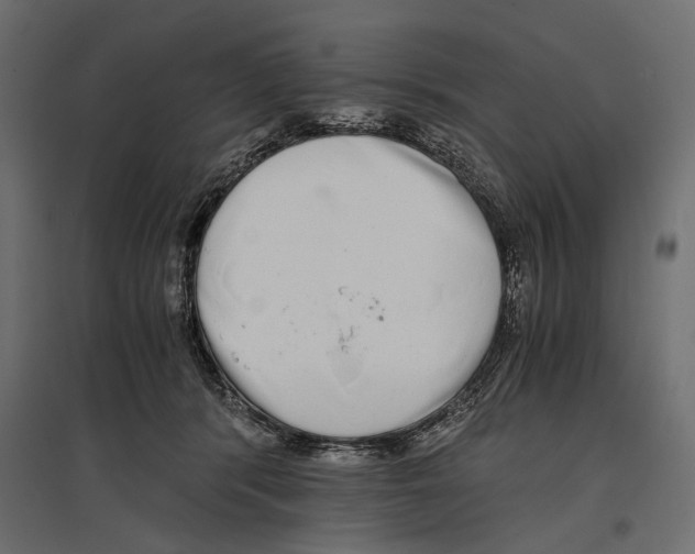 X0000096980416200803071034