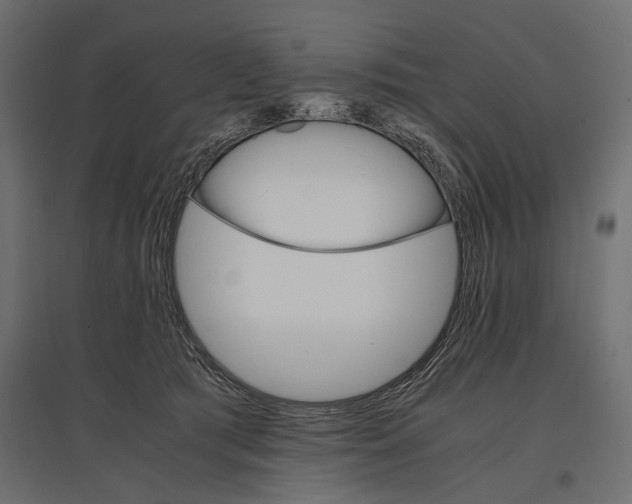 X0000096980417200803071034