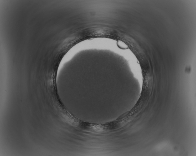 X0000096980423200803071034