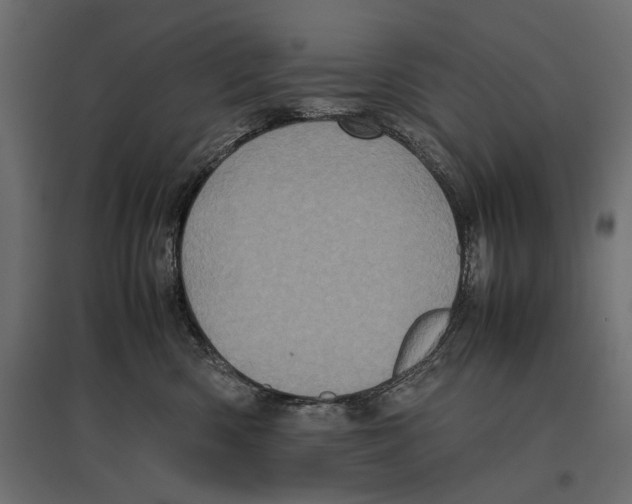 X0000096980426200803071034