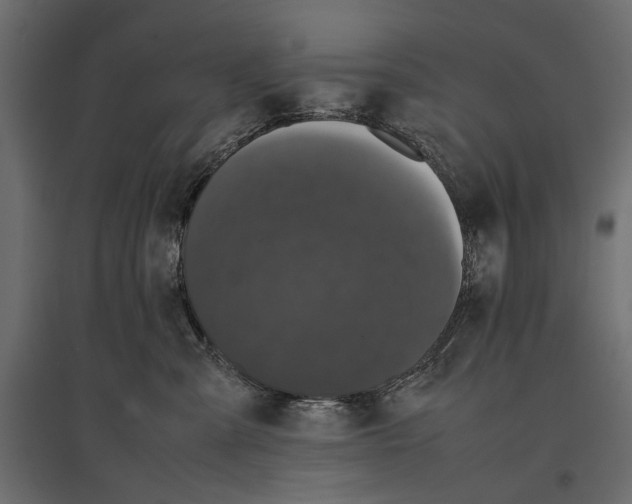 X0000096980427200803071034