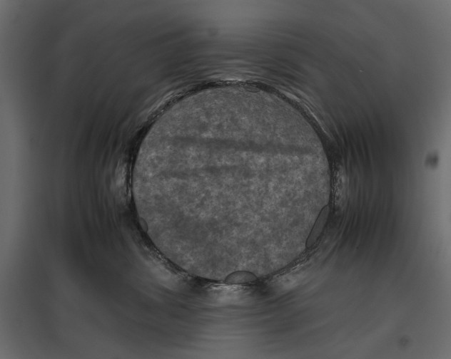 X0000096980428200803071034