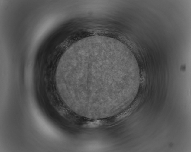 X0000096980430200803071034