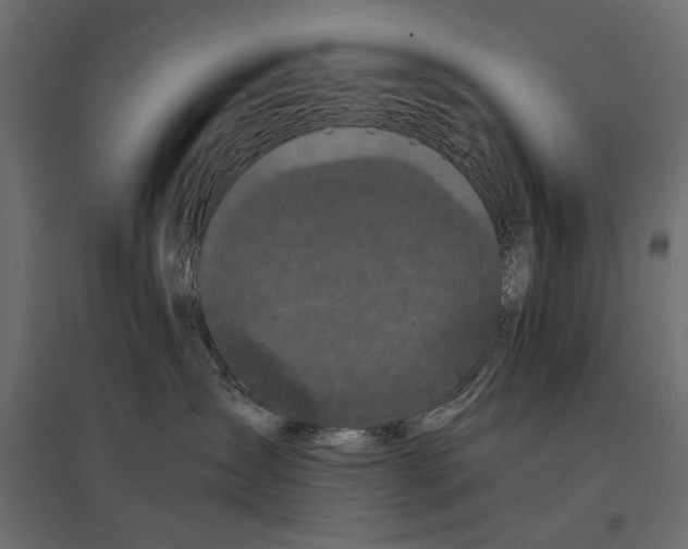 X0000096980431200803071034