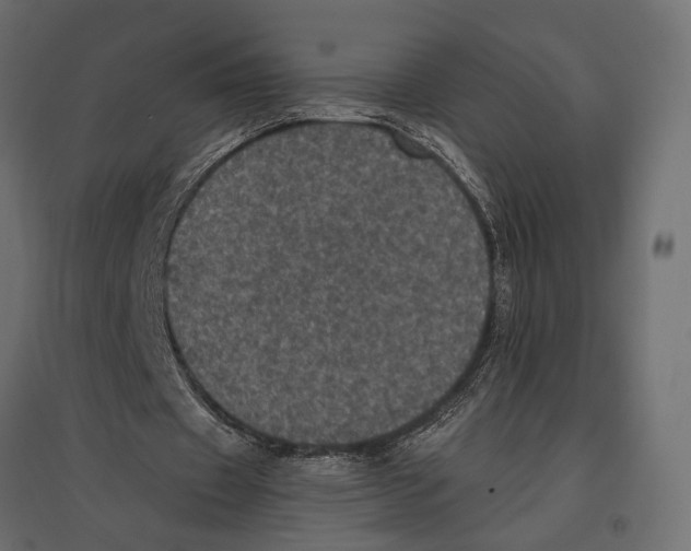 X0000096980433200803071033