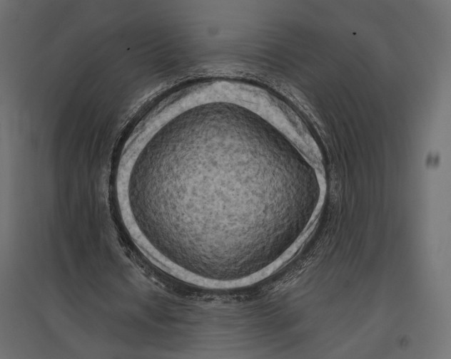 X0000096980434200803071033