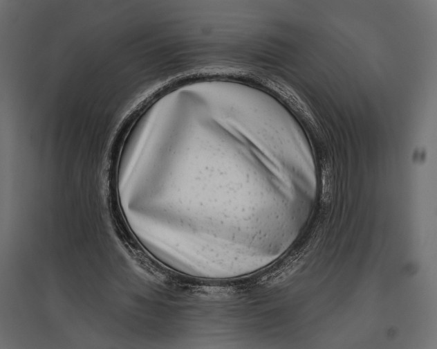 X0000096980436200803071033