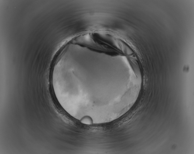 X0000096980438200803071033