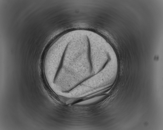 X0000096980439200803071033