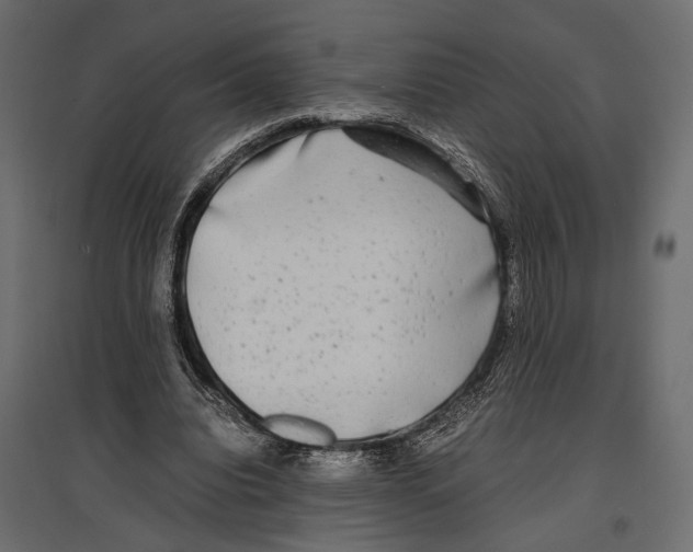 X0000096980440200803071033