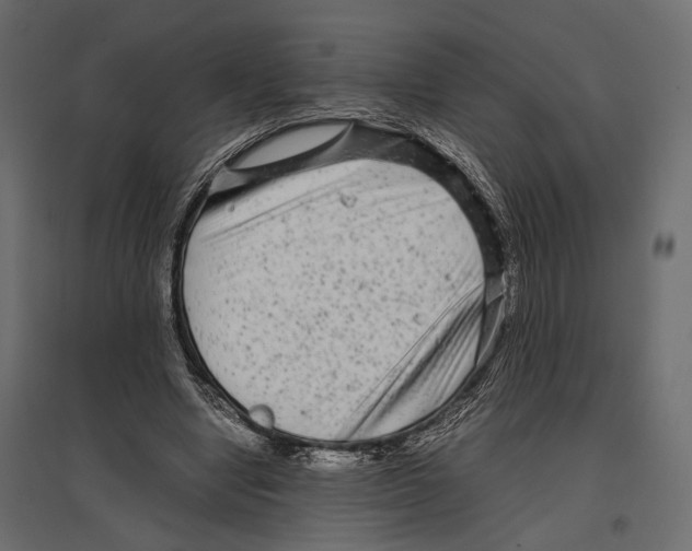 X0000096980442200803071033